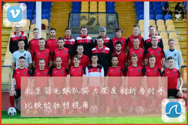 北京羽毛球队实力深度剖析与对手比较的独特视角