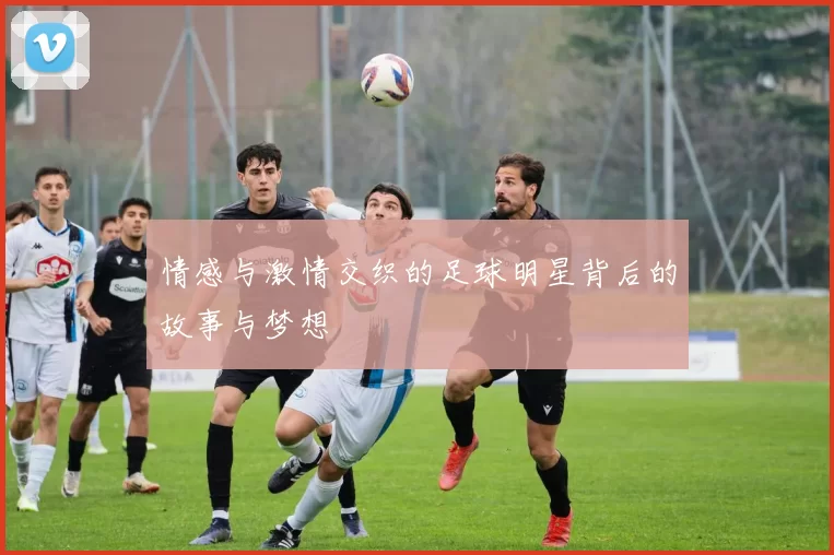情感与激情交织的足球明星背后的故事与梦想