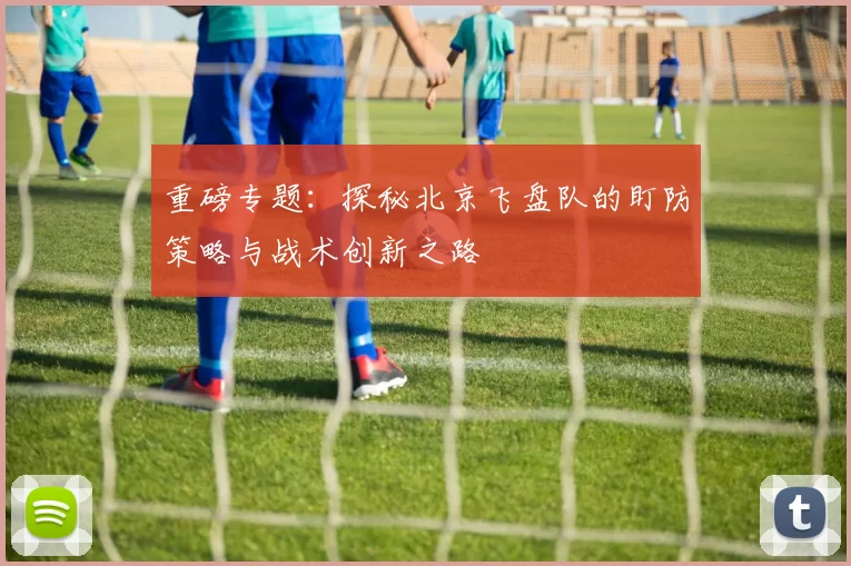 重磅专题：探秘北京飞盘队的盯防策略与战术创新之路