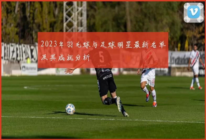 2023年羽毛球与足球明星最新名单及其成就分析