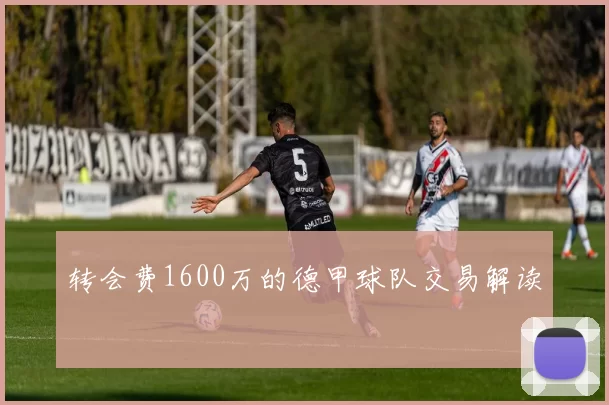 转会费1600万的德甲球队交易解读