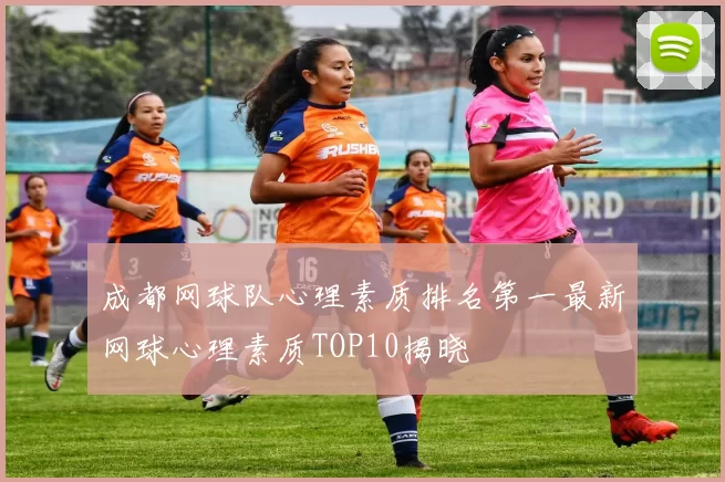 成都网球队心理素质排名第一最新网球心理素质TOP10揭晓