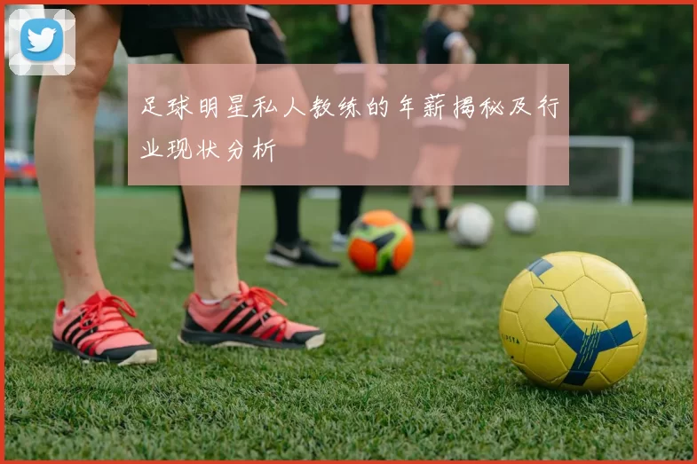 足球明星私人教练的年薪揭秘及行业现状分析