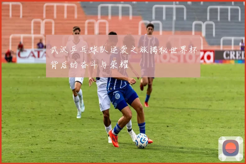 武汉乒乓球队逆袭之旅揭秘世界杯背后的奋斗与荣耀