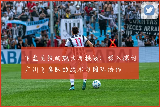 飞盘竞技的魅力与挑战：深入探讨广州飞盘队的战术与团队协作