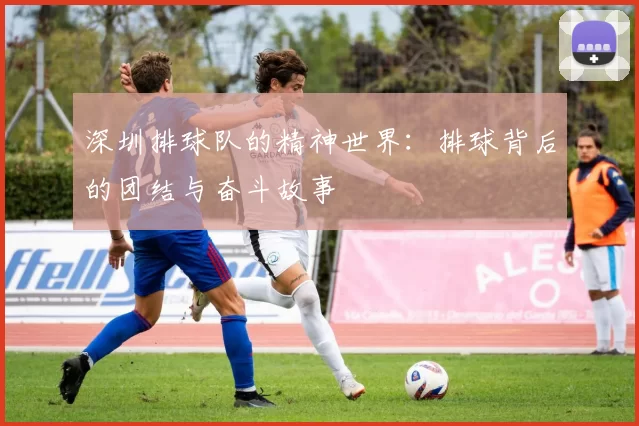 深圳排球队的精神世界：排球背后的团结与奋斗故事