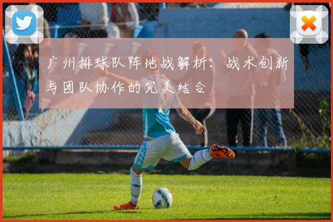 广州排球队阵地战解析：战术创新与团队协作的完美结合