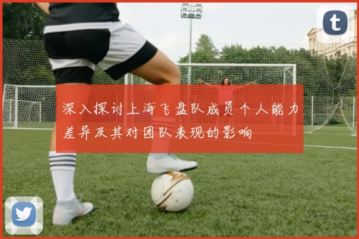 深入探讨上海飞盘队成员个人能力差异及其对团队表现的影响
