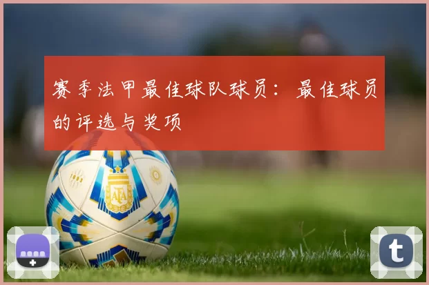 赛季法甲最佳球队球员：最佳球员的评选与奖项