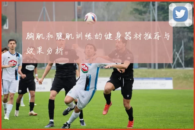 胸肌和腹肌训练的健身器材推荐与效果分析