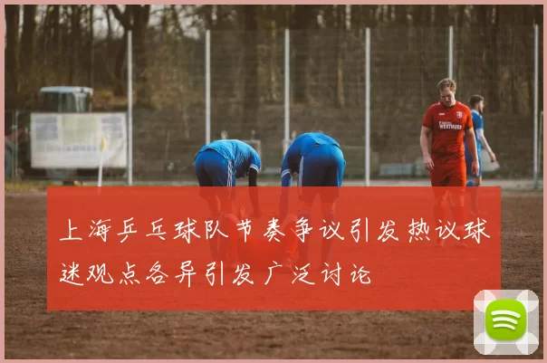 上海乒乓球队节奏争议引发热议球迷观点各异引发广泛讨论