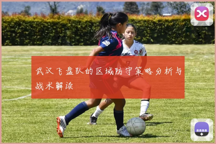 武汉飞盘队的区域防守策略分析与战术解读