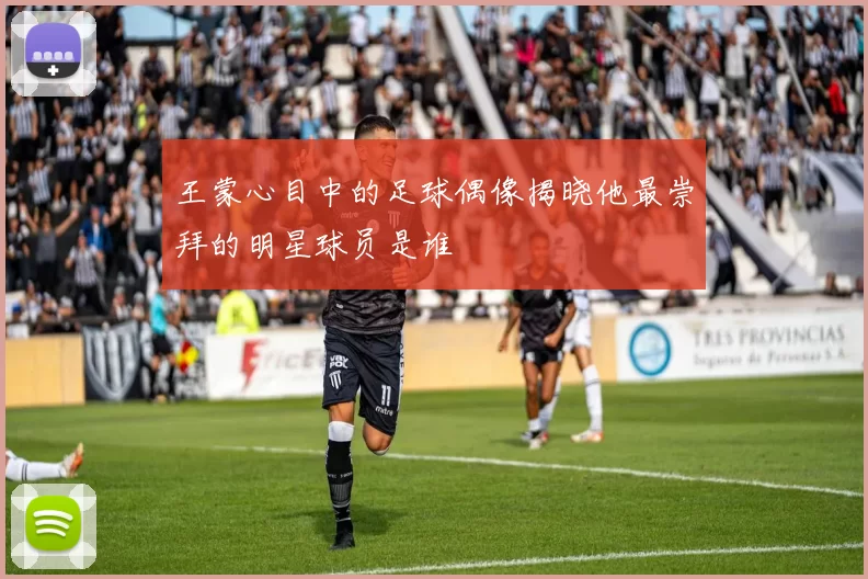 王蒙心目中的足球偶像揭晓他最崇拜的明星球员是谁