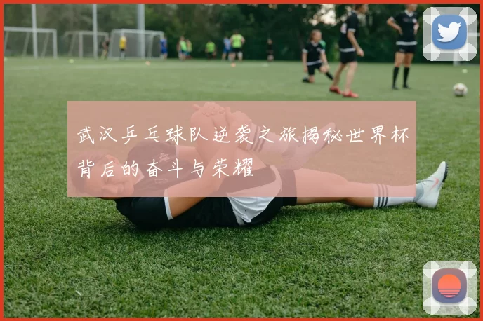 武汉乒乓球队逆袭之旅揭秘世界杯背后的奋斗与荣耀