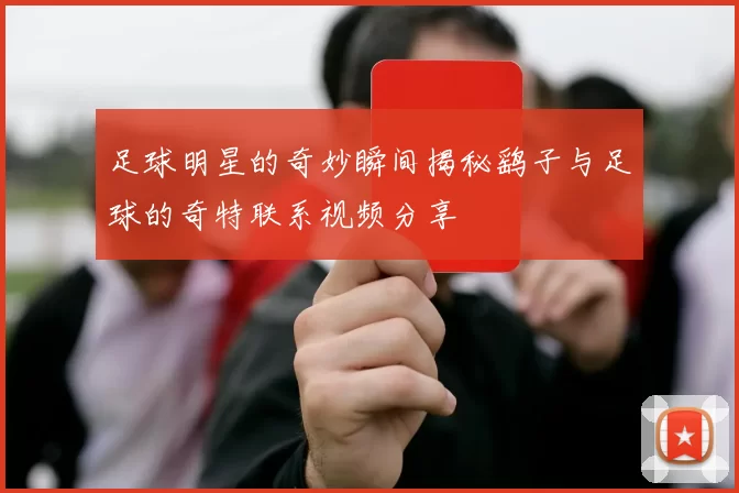 足球明星的奇妙瞬间揭秘鹞子与足球的奇特联系视频分享